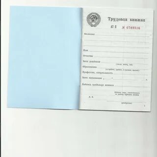 Трудовая книжка 2003