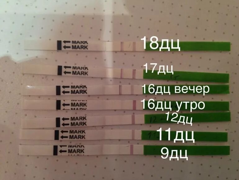 После овуляции тянет низ живота. После овуляции подташнивает. Тянет живот при овуляции. Тянет низ живота при овуляции.