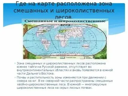 Положение смешанных лесов относительно океанов. Положение смешанных лесов относительно океанов