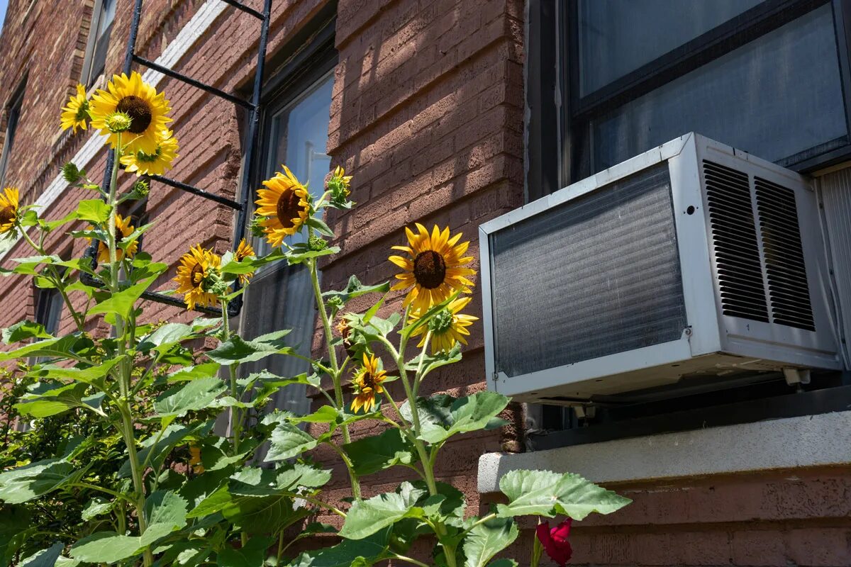 Windows ac