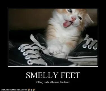 Feet meme