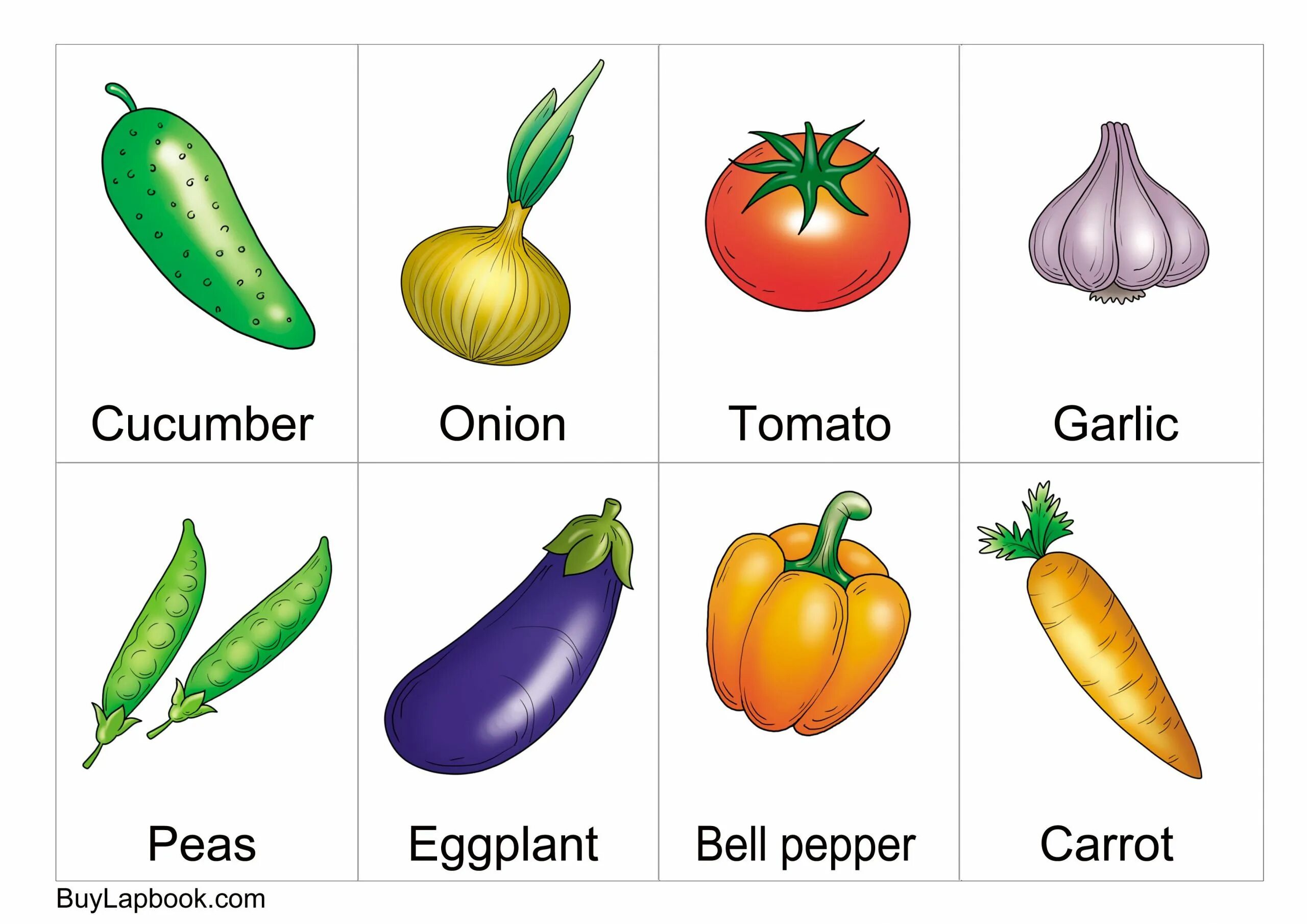 Vegetables Flashcards for Kids in English. Карточки Fruit and Vegetables. Vegetables in English for Kids. Овощи на английском для детей. Learning vegetables