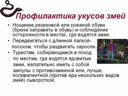 Случай укуса змеи