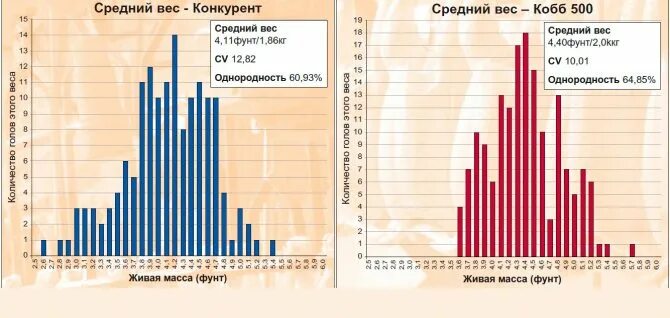 Таблица роста кобб 500 по дням. Конверсия корма Кобб 500. Конверсия корма у бройлеров Кобб 500. Бройлер Кобб-500 характеристика. Вес бройлера Кобб 700.