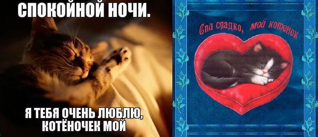 Спокойной ночи любимый мой. Спокойной ночи люблю тебя. Самых сладких снов. Спокойной ночи я тебя люблю. Открытка любимый жене спокойной ночи