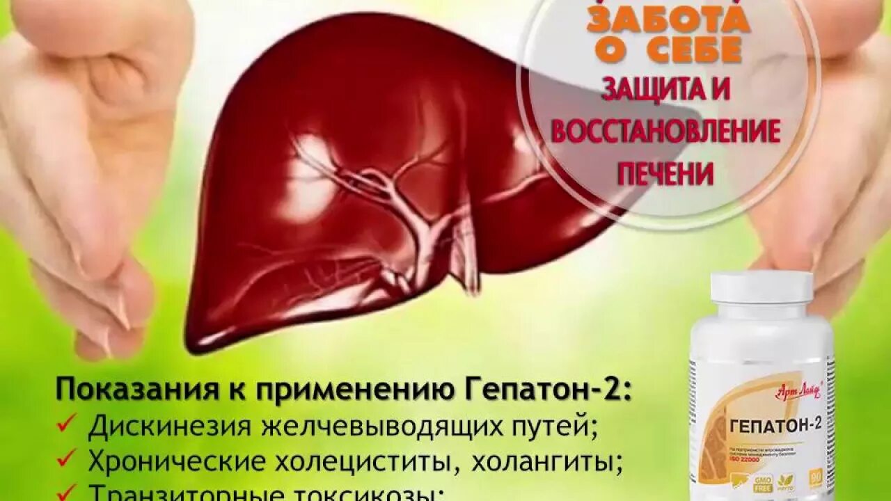 Сколько восстанавливать печень. Арт лайф Гепатон. Восстановление печени. Защита печени. Natural защита печени.