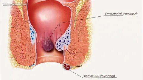 Ерлер қаншалықты жиі оргазмды алады?