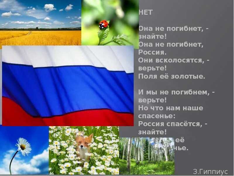 Гиб рф. Она не погибнет знайте. Она не погибнет знайте она не погибнет Россия. Россия не погибнет знайте стих. Стих она не погибнет знайте она не погибнет Россия.