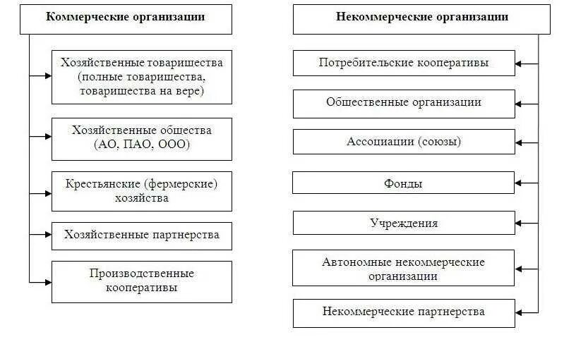 Общество с ограниченной ответственностью некоммерческая организация