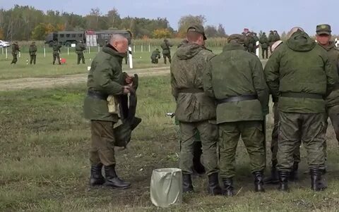 Мобилизация dzen