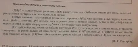 Дуб диктант 6 класс русский