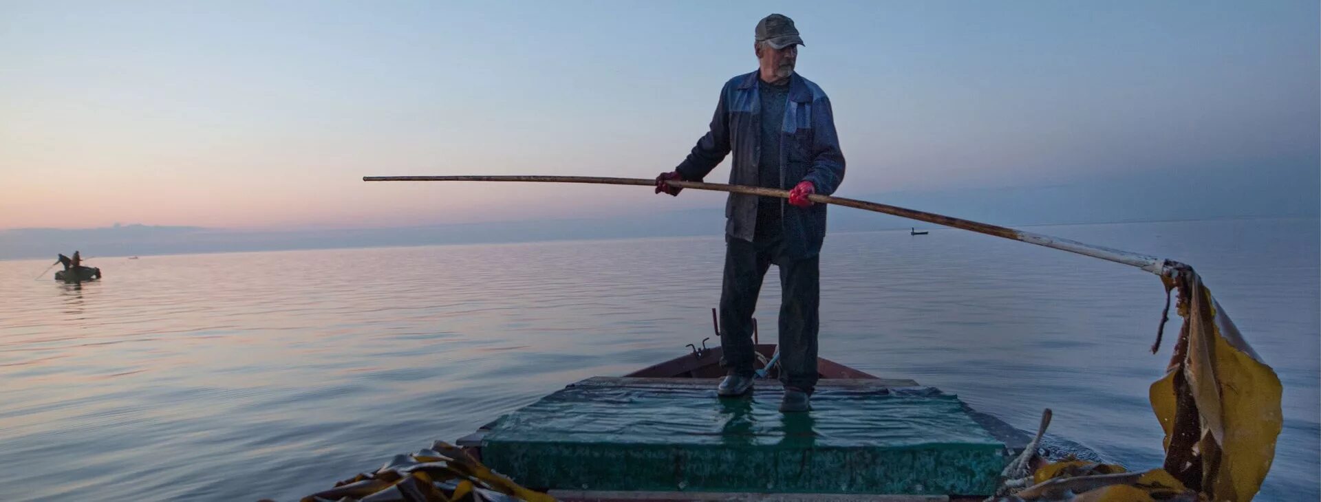 Архангельские водоросли интернет. Архангельский опытный водорослевый комбинат. Ламинария Архангельск. Архангельский водорослевый комбинат в Архангельске. Водорослевый завод в Архангельске.