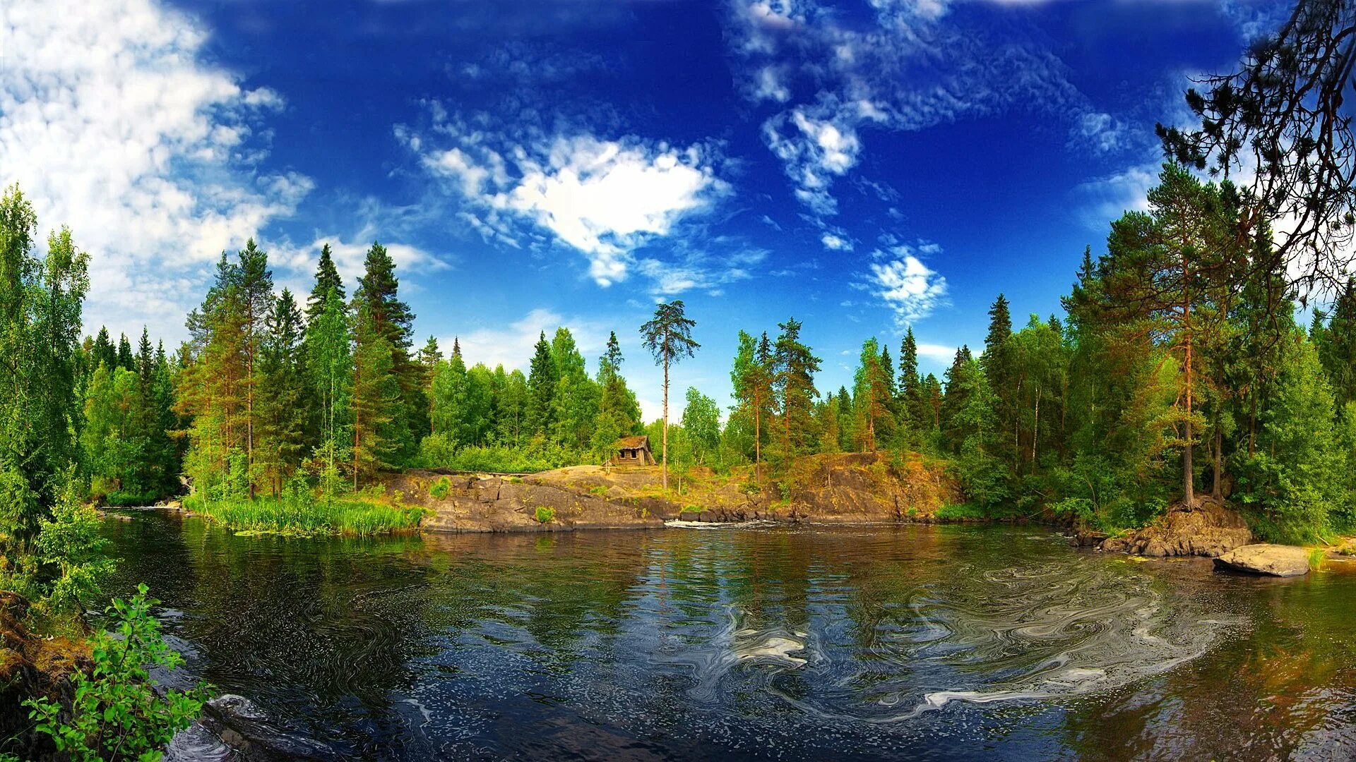 Лучшие озера и реки. Тайга Северная Карелия. Кивач Карелия. Реки Карелии леса Карелии. Озеро нюк Карелия.