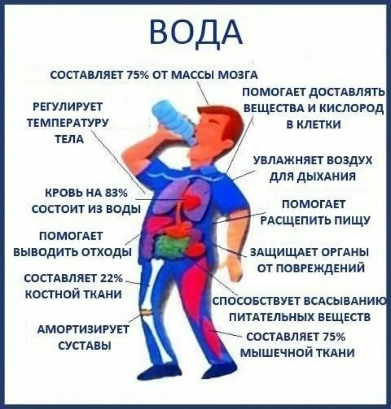 50 воды в организме. Польза воды для организма. Польза воды для человека. Чем полезна вода для организма человека. Чем полезна вода.