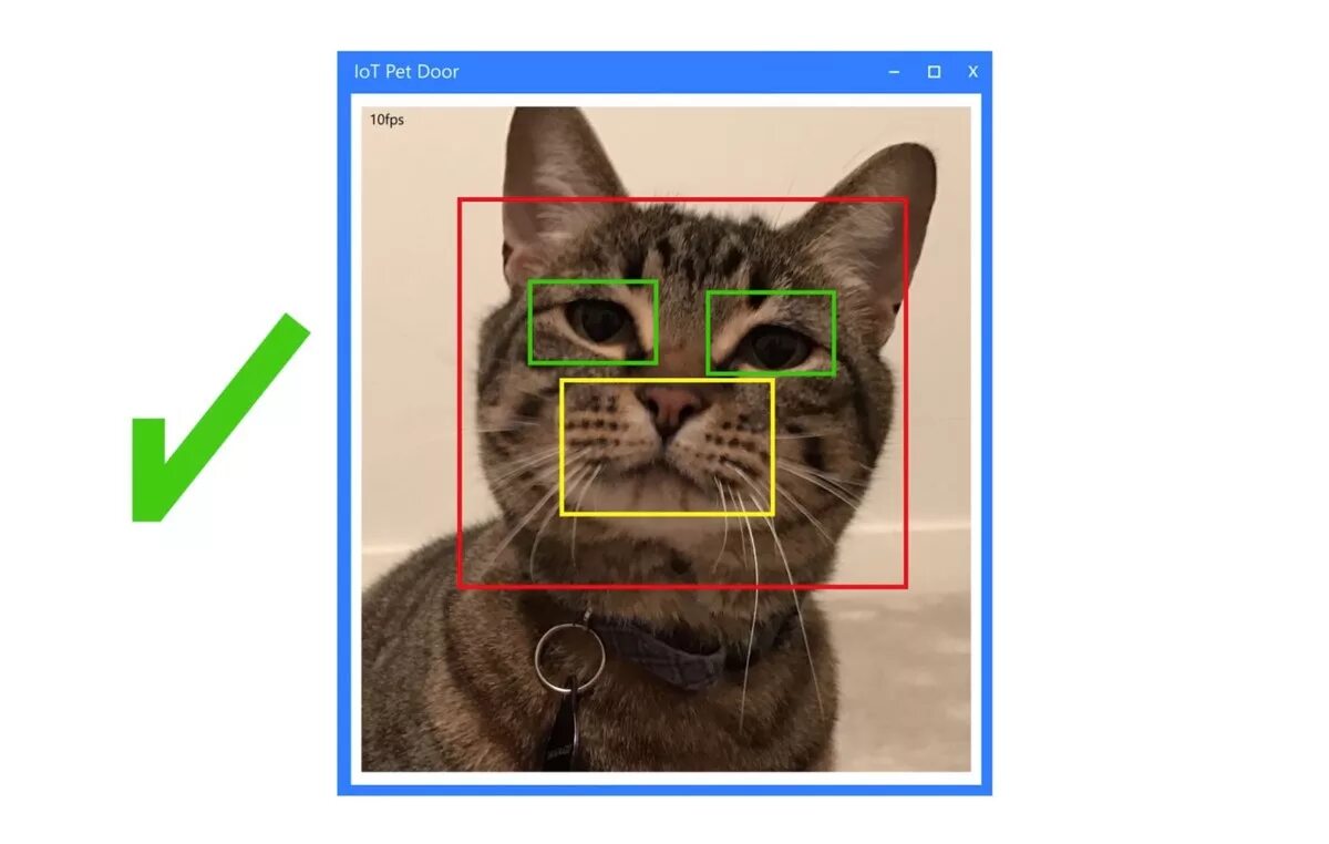 Say Hello to Dog Facial Recognition Technology https://slate.com/technology/2019