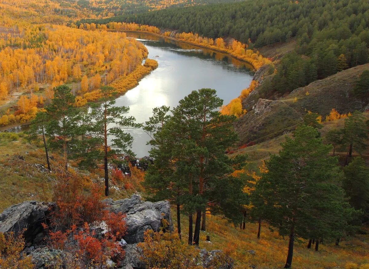 Река Ингода Забайкальский край. Забайкалье природа Ингода. Сухотино Забайкальский край Чита. Читинский Забайкальский край природа.