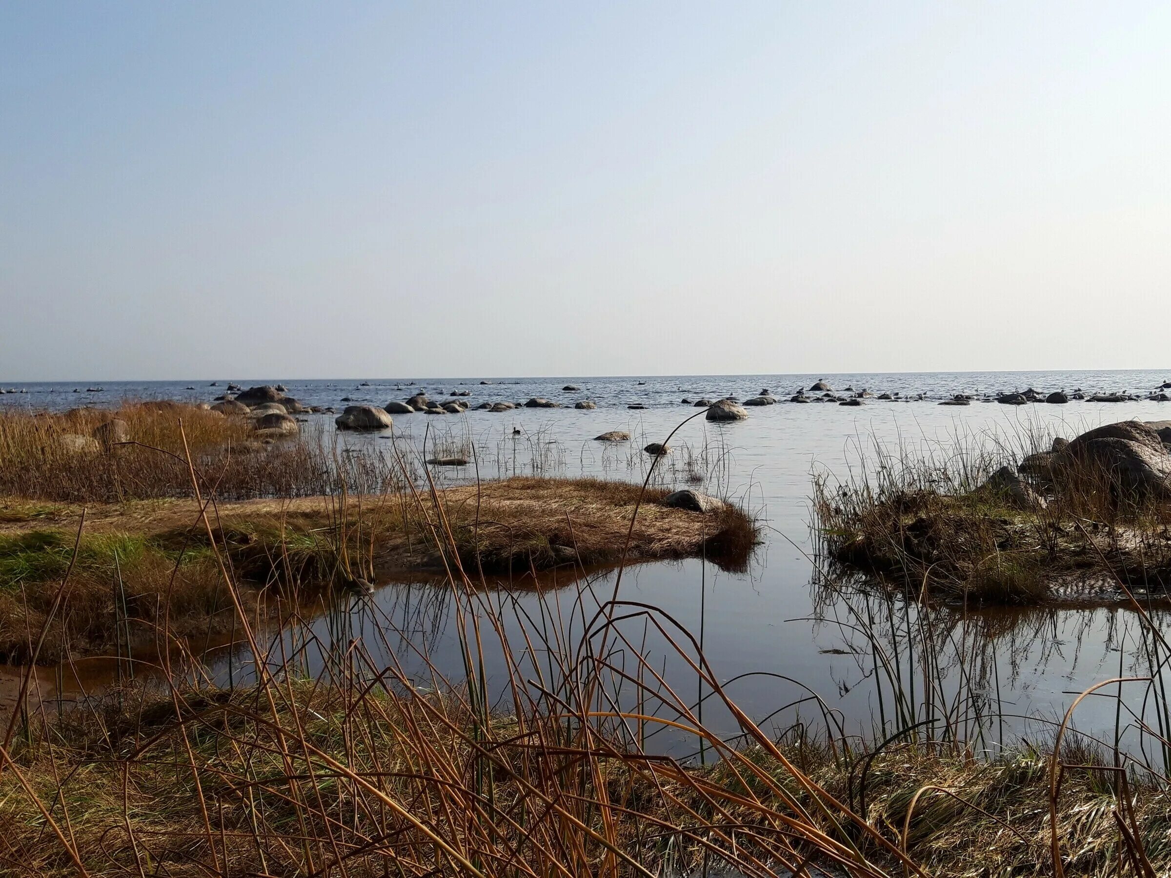 мыс святого рока бразилия. купить дом на голом мысу. дачи на голом мысу в перми. мыс тобизина приморский край. мыс шмидта сахалин.