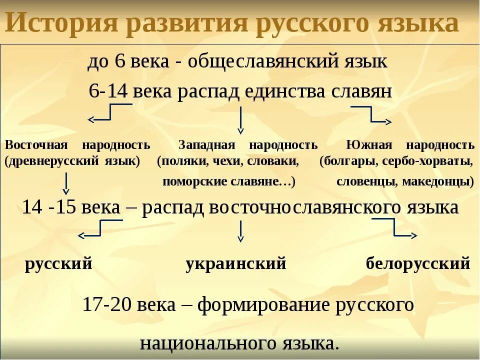 История развития русского языка. История происхождения русского языка. Историческое развитие языков. Развитие русского языка.