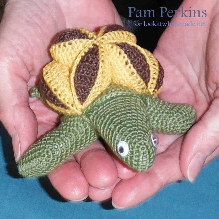 Crazy turtle