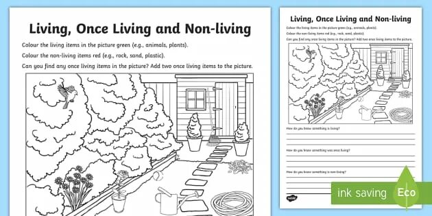 Living things around us контрольная работа. Living Worksheets. Living non Living things for Kids. LIVEWORKSHEETS ответы. Geographical features LIVEWORKSHEET.