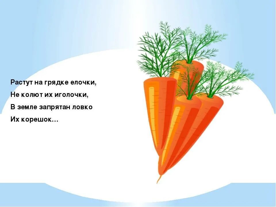 6 загадок про овощи. Загадки про овощи. Загадки про овощи для детей. Загадки про овощи для малышей. Загадка проовощ.