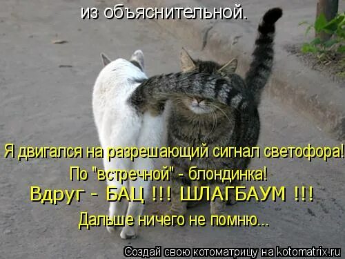 Ничем не далеко не