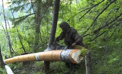 Не ходи по тайге на одной