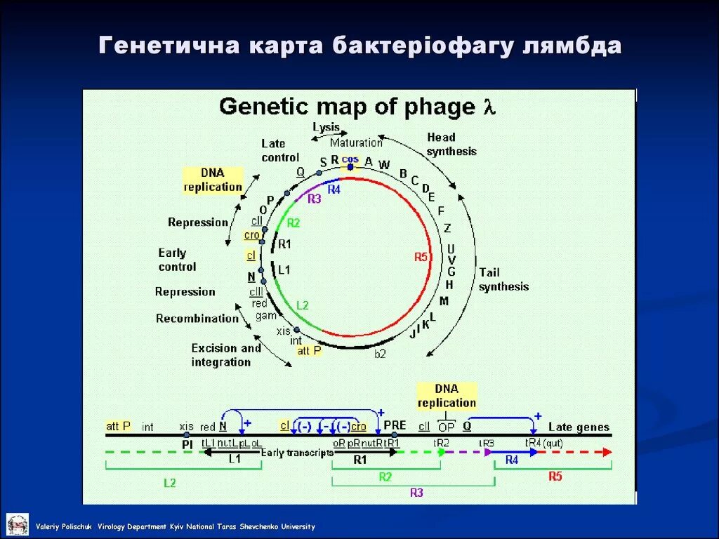 Map lambda