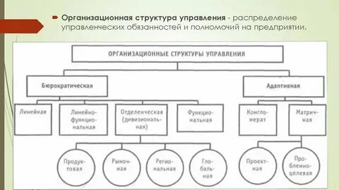 Характеристика элементов организационной структуры управления
