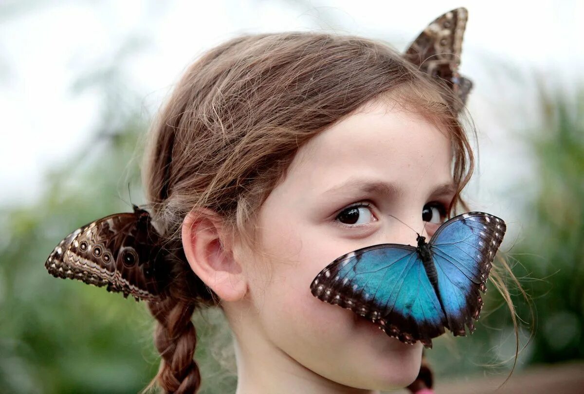 Девушка выпускает бабочек. Бабочки про девочку. Девочка с бабочкой. Девочка с бабочкой. Девочка с бабочкой.