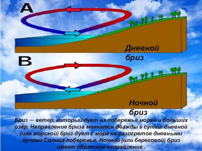 Где дуют сильные ветры. Бриз ветер. Схема образования дневного бриза. Бриз это ветер который дует. Процесс образования ветра.