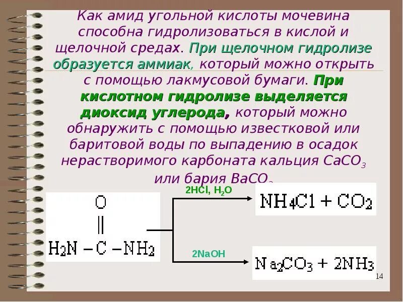 Щелочная среда образуется при гидролизе. Гидролиз мочевины в щелочной среде. Щелочной и кислотный гидролиз мочевины. При кислотном гидролизе. Реакция гидролиза мочевины.