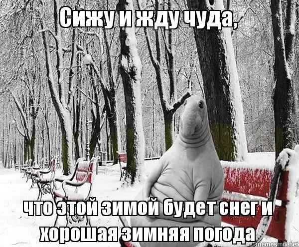 Ждали зиму очень долго. Ждун зимой. ждун в снегу. ждун ждет зиму. ждем новый год.