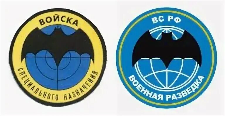 Летучие войска
