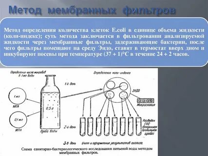 Методы контроля микроорганизмов