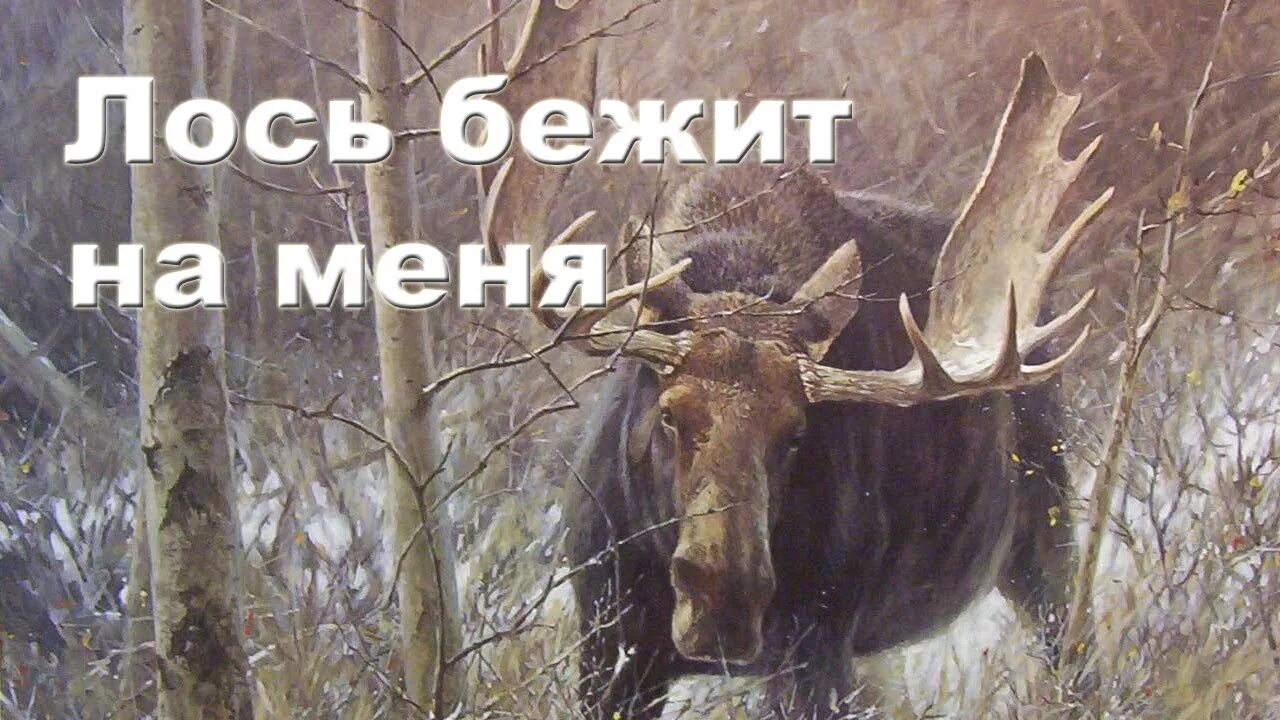 На лося пойду. Лось бежит. Лось мемы. Картины охота на лося.