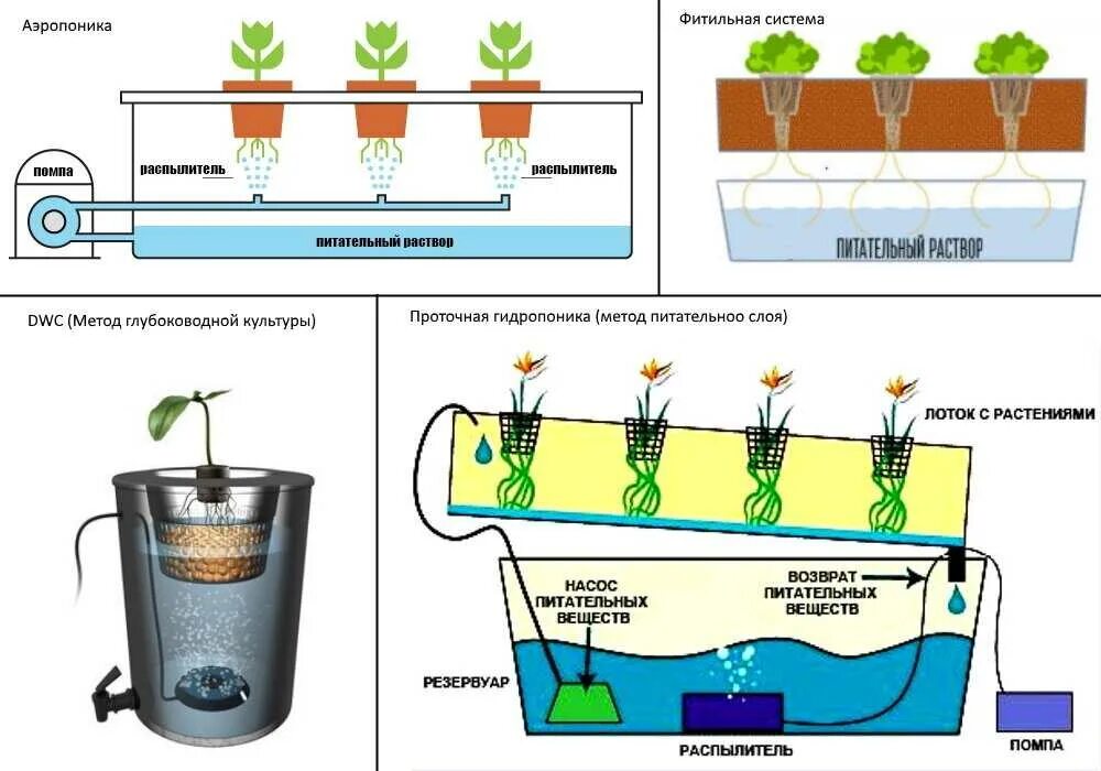Практическая работа технологии выращивания растений. Ультразвуковая аэропоника схемы. Гидропонная система капельного полива схема. Система капельного полива гидропоника схема. Фитильный полив гидропоника.