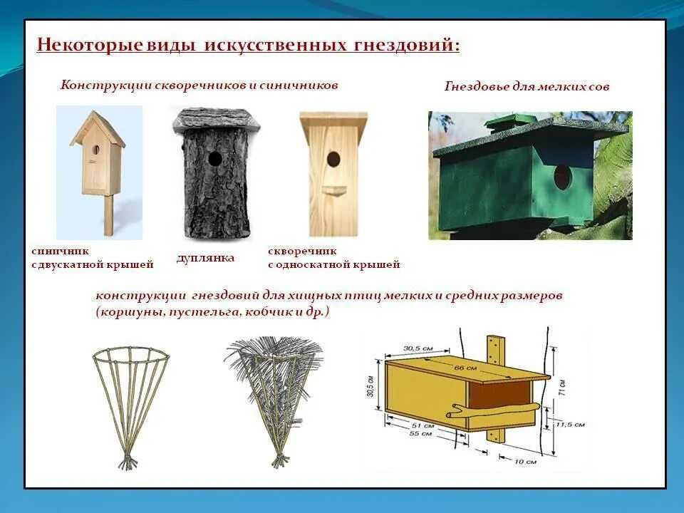 Признаков гусиного гнездовья впр 7 класс ответы. Синичник дуплянка. Типы искусственных гнездовий для птиц. Скворечник синичник трясогузочник. Скворечник для трясогузки.