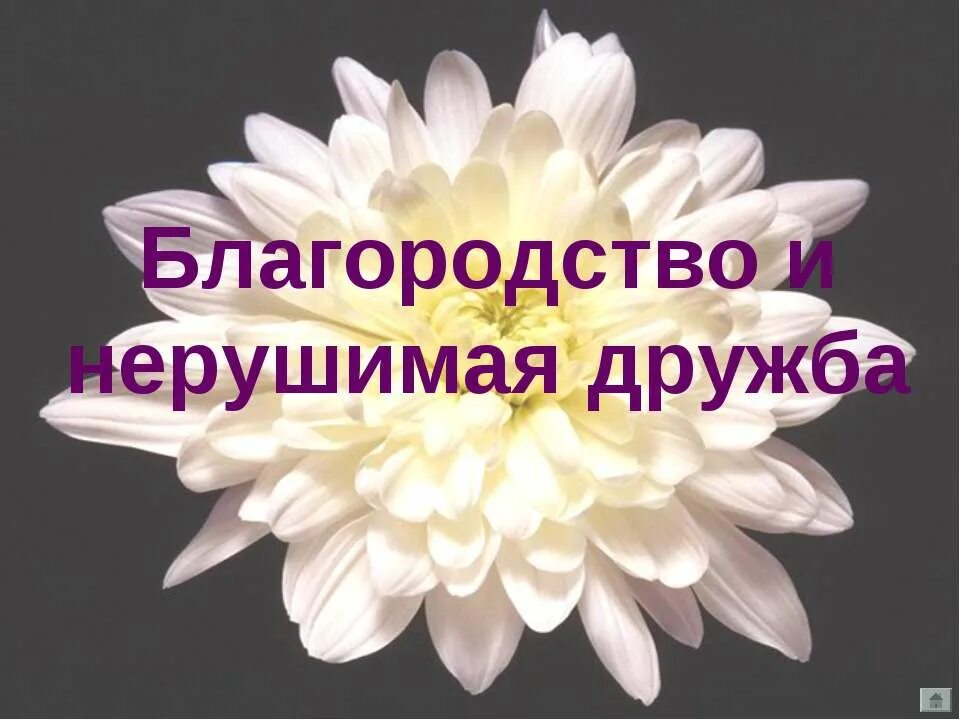 Благородие это. Благородство это. Благородство картинки. Чтим благородство. Русское благородство.