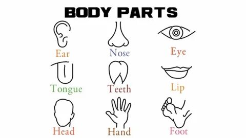 Heads and hands