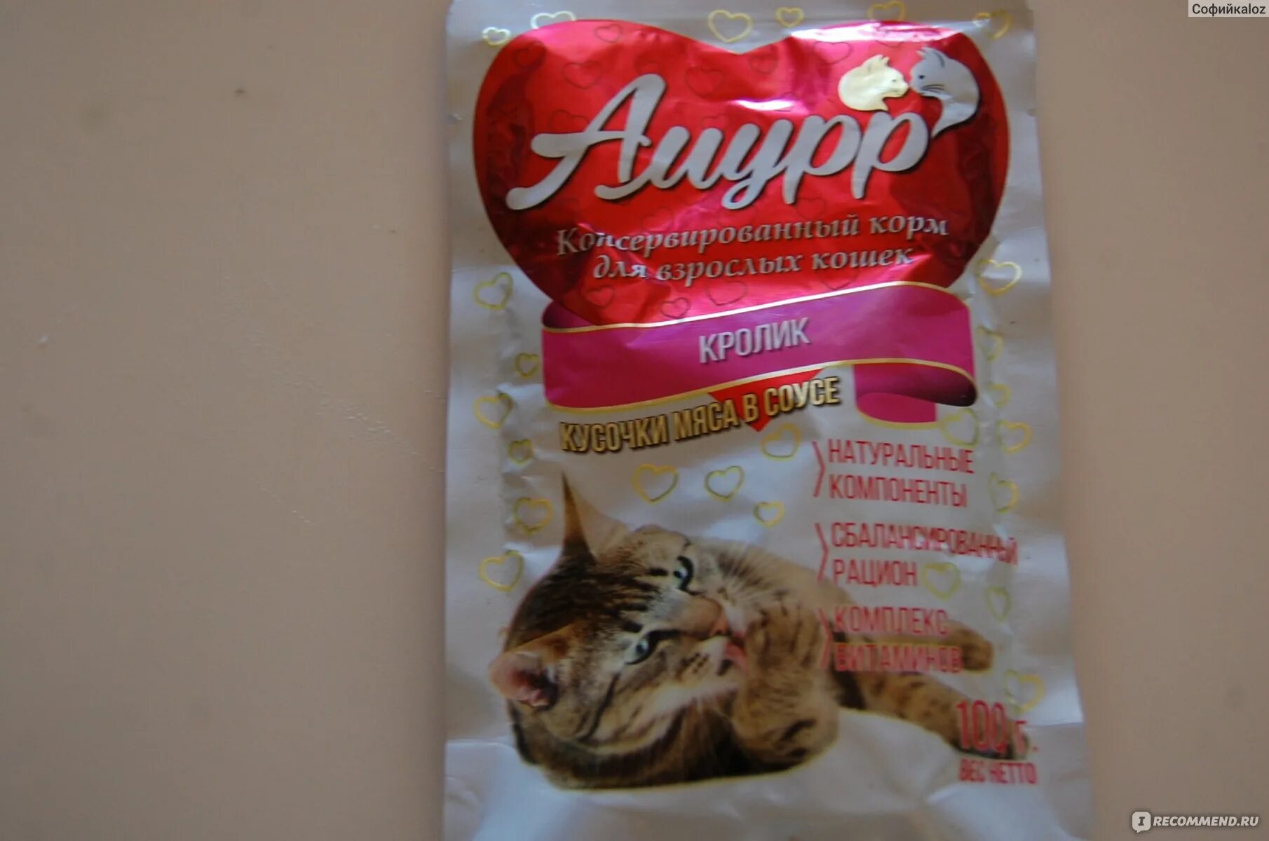 Как называется кошачий корм. Кошачьи корма названия. бонжур кошачий корм. кошачий корм названия. амурр корм.