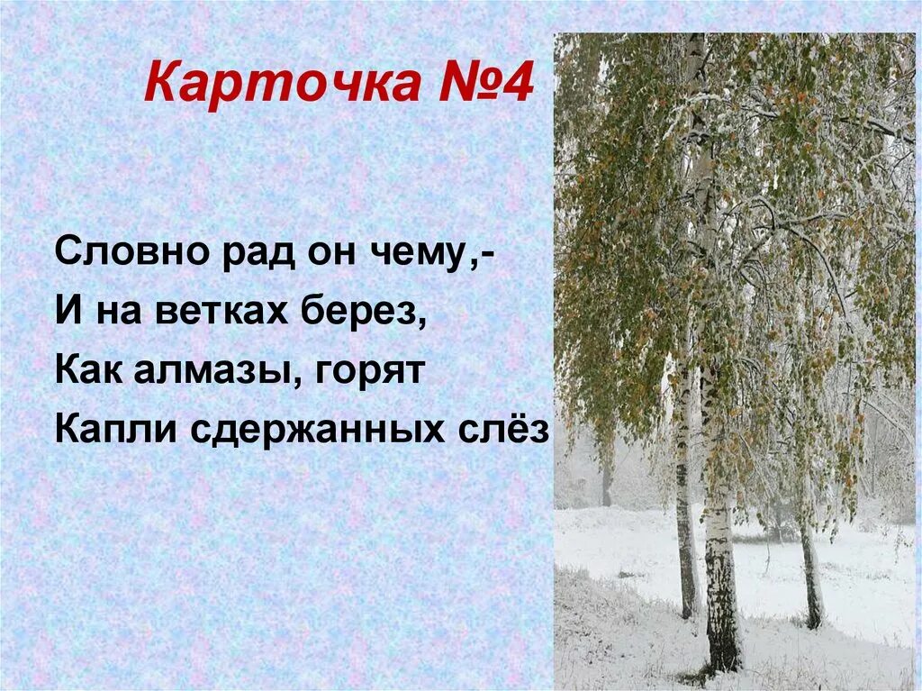 Стихотворения никитина зима. Встреча зимы Никитин. Ветки береза. Встреча зимы Никитин поутру вчера дождь.