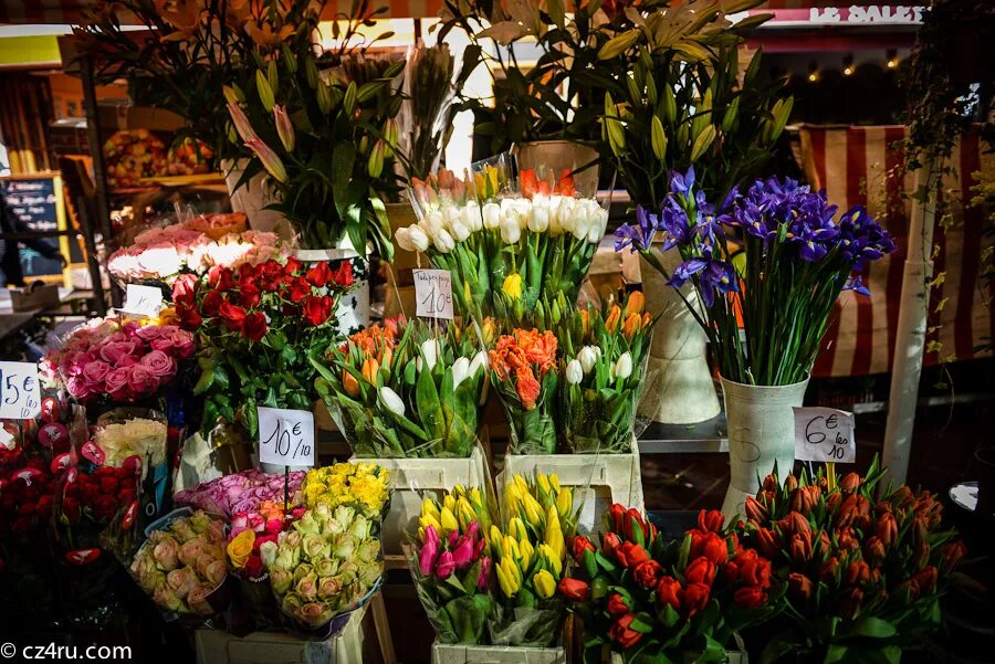 цветочный аукцион в голландии. оптовый рынок цветов береговая. цветочный рынок, ростов-на-дону.