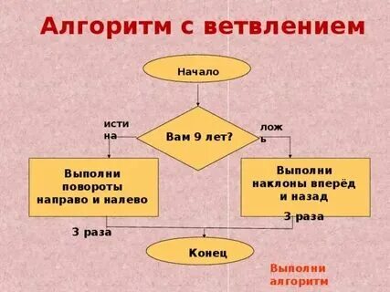 Алгоритмы с ветвлением 6 класс информатика. Алгоритмы с ветвлением 6 класс информатика