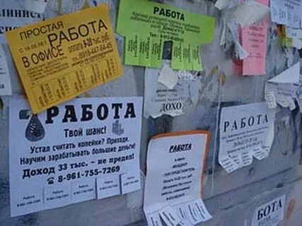 Шанс трудоустройство
