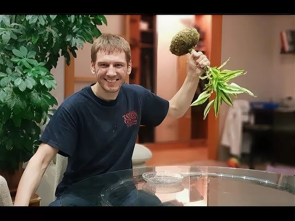 Plant mp3. Драцена в аквариуме с рыбками.