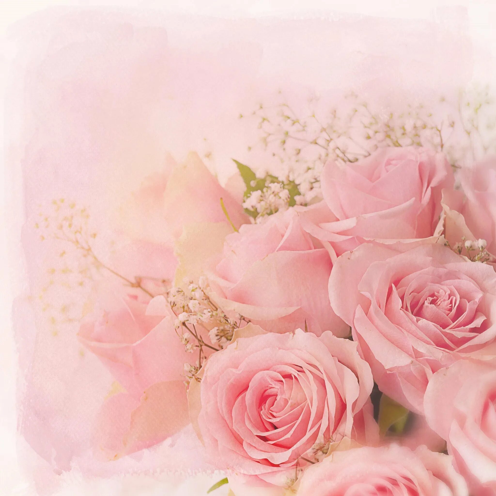 Нежные цветы поздравление. Фон для открытки. Бледно розовые цветы. Розы фон. Фон цветочный нежный.