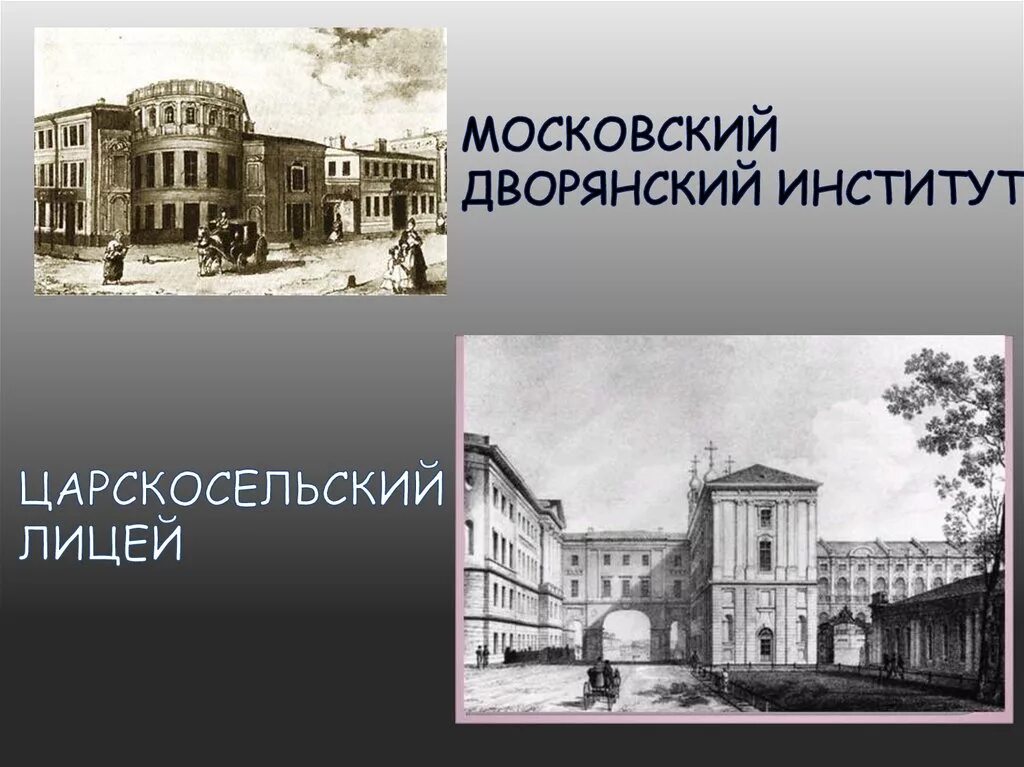 Московский дворянский институт Салтыкова. Салтыков Щедрин дворянский институт. Царскосельский лицей Салтыков Щедрин. Салтыков Щедрин Московский университет. Московский царскосельский лицей