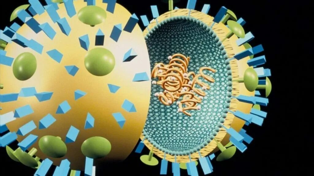 Генная инженерия. Нейронная сеть мозга. Связь сердца и ума. Нейро мозг. Вирус разума.