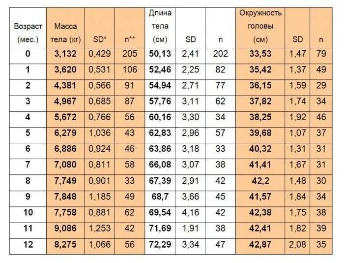 Нормальные размеры полового члена и возможные отклонения
